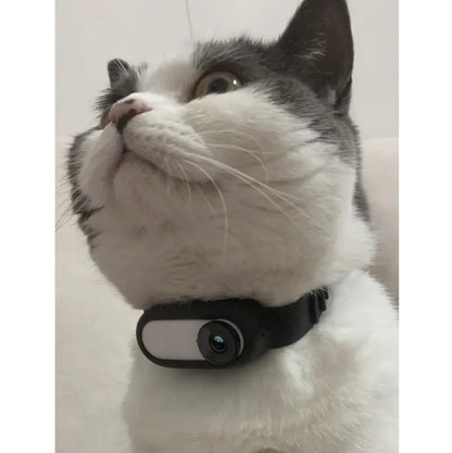PetPal- Pet Collar Camera