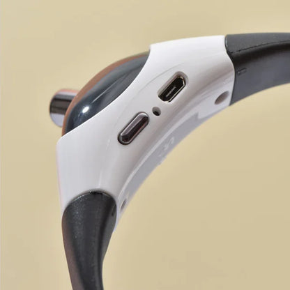 PetPal- Laser Collar Toy for Cats