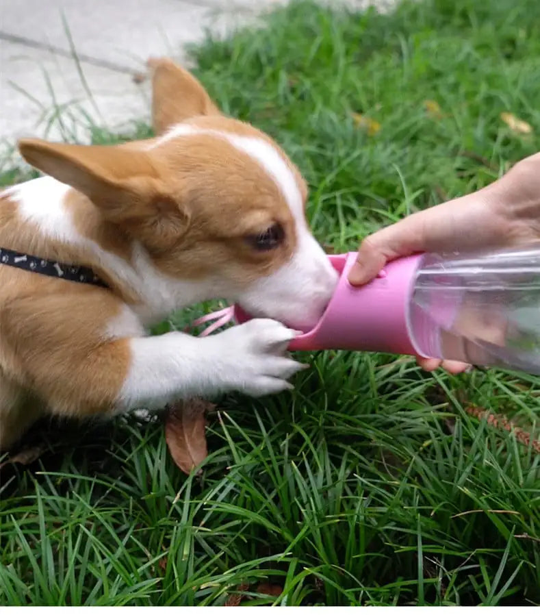 PetPal- All-in-One Portable Pet Water Bottle & Bowl