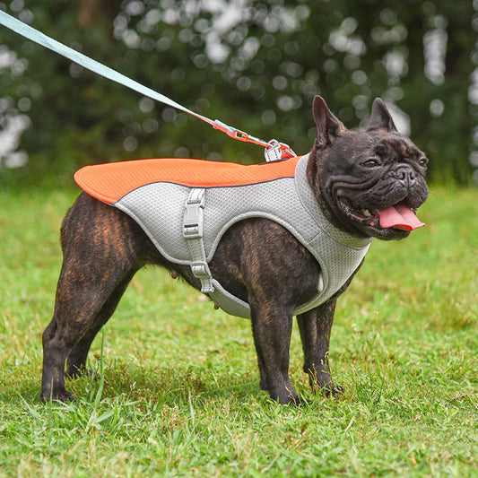 PetPal- Cooling Vest