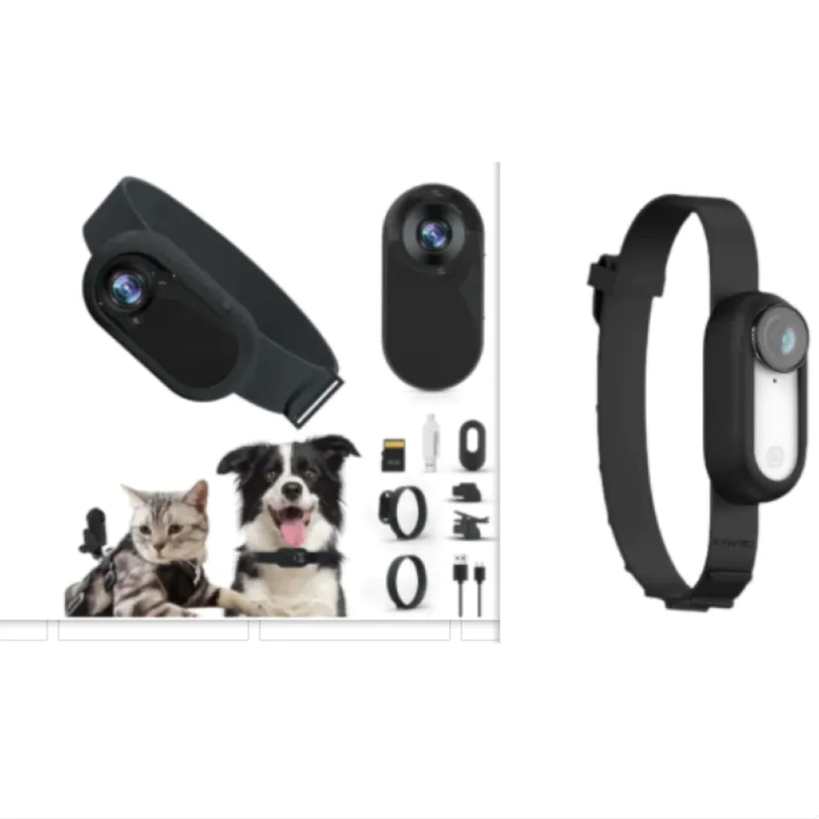 PetPal- Pet Collar Camera