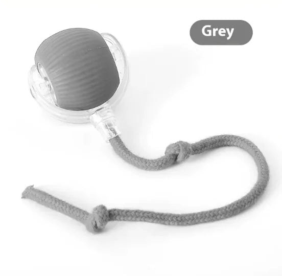 PetPal- Engaging Cat Toy Ball