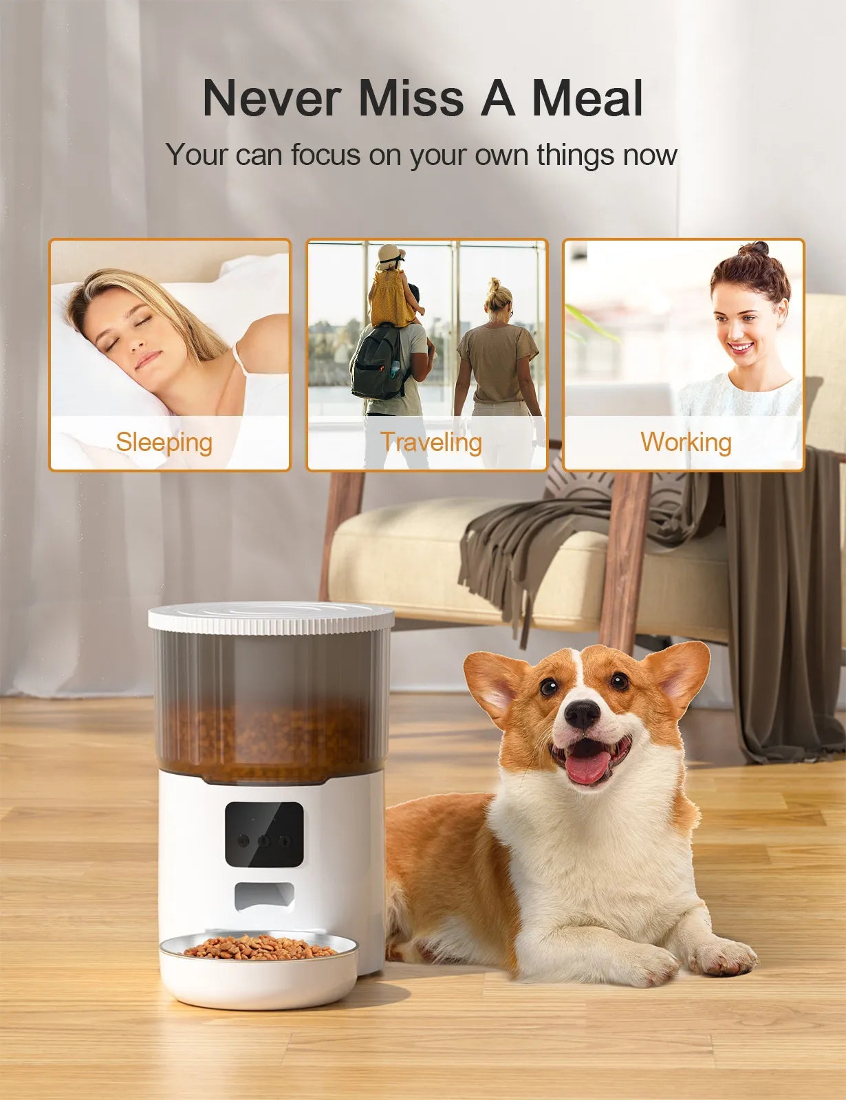 PetPal- Automatic Feeder
