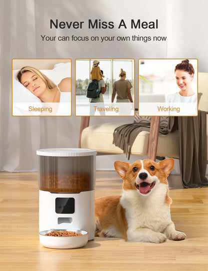 PetPal- Automatic Feeder