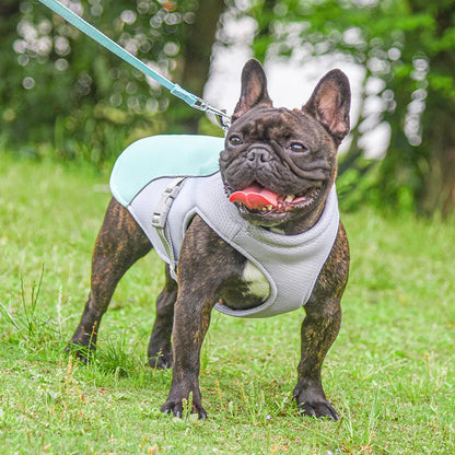 PetPal- Cooling Vest