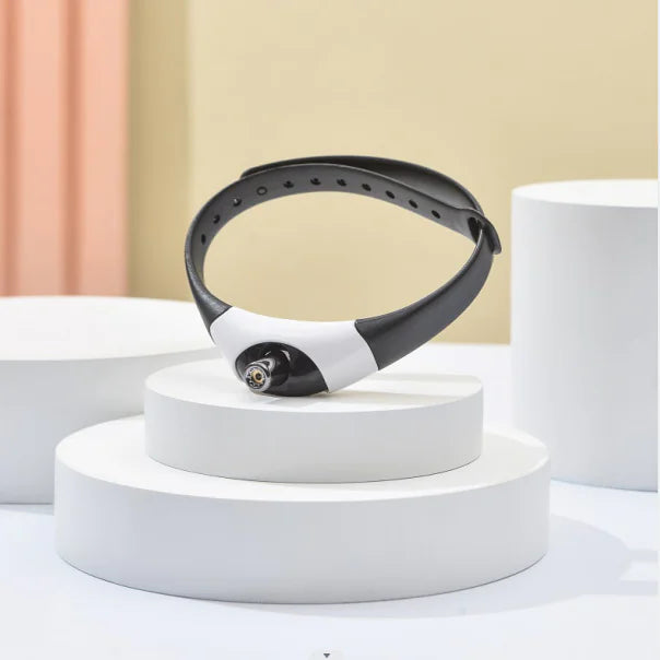 PetPal- Laser Collar Toy for Cats