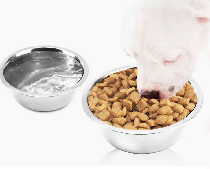 PetPal – Premium Stainless Bowl