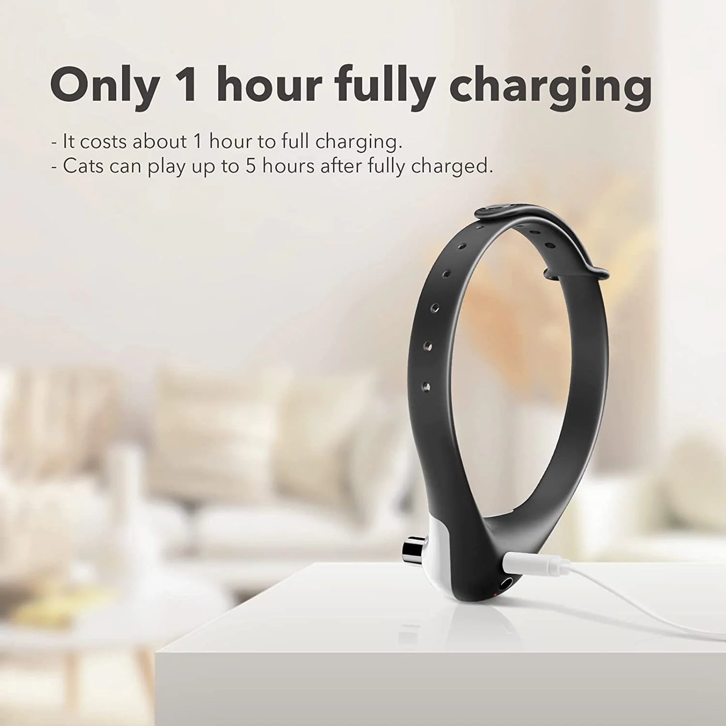 PetPal- Laser Collar Toy for Cats