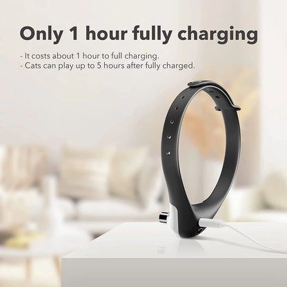 PetPal- Laser Collar Toy for Cats