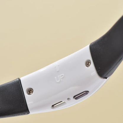 PetPal- Laser Collar Toy for Cats